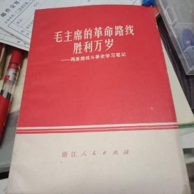 毛主席的革命路线胜利万岁两条路线斗争史学习笔记