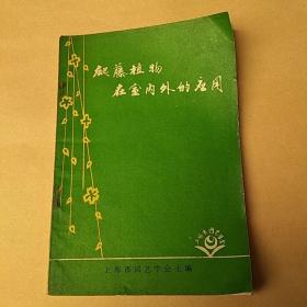 爬藤植物在室内外的应用