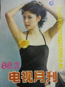 电视月刊1988年总第67期