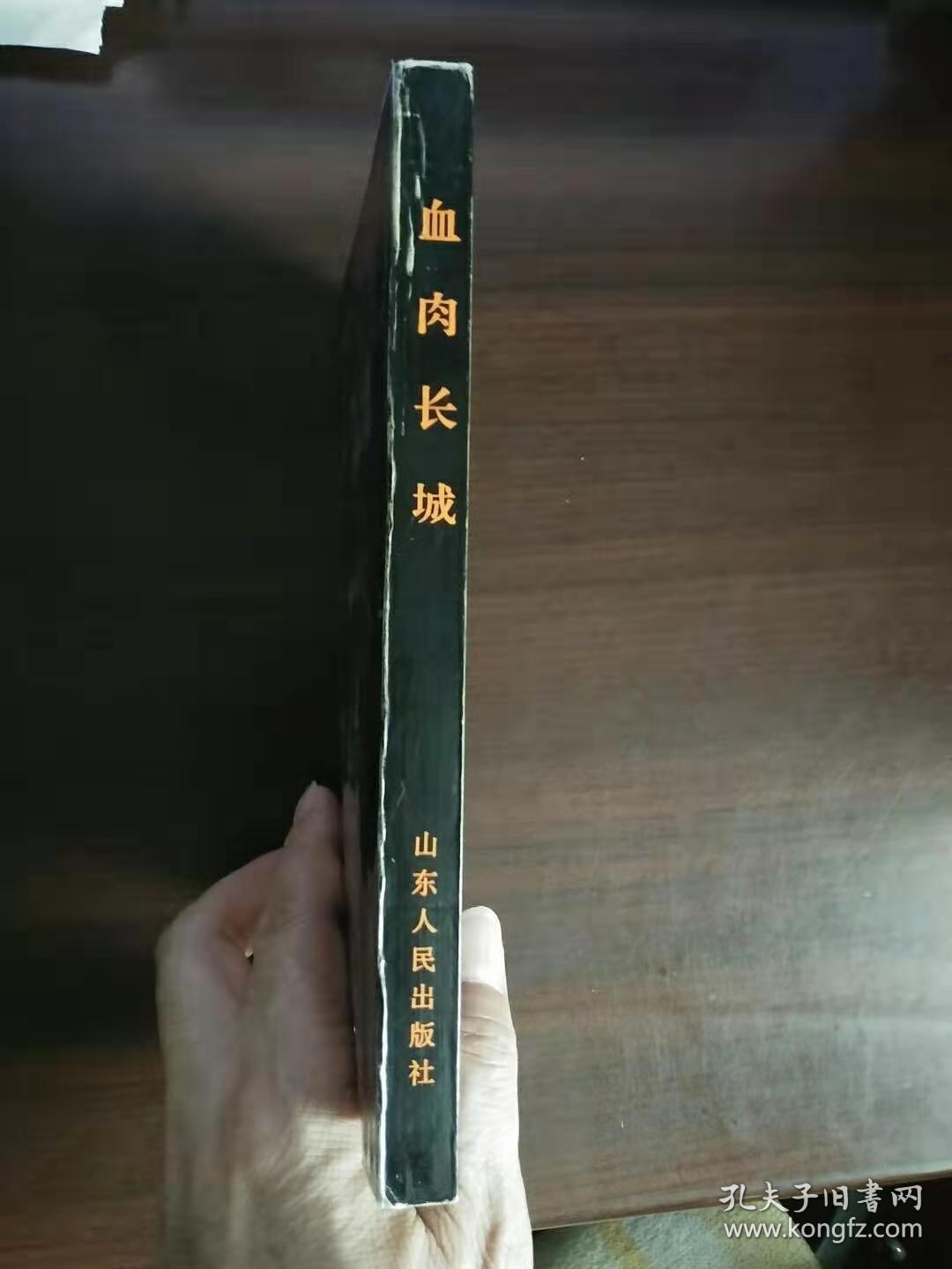 血肉长城—山东人民抗日战争史实精选