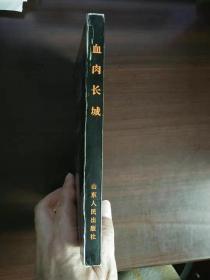 血肉长城—山东人民抗日战争史实精选