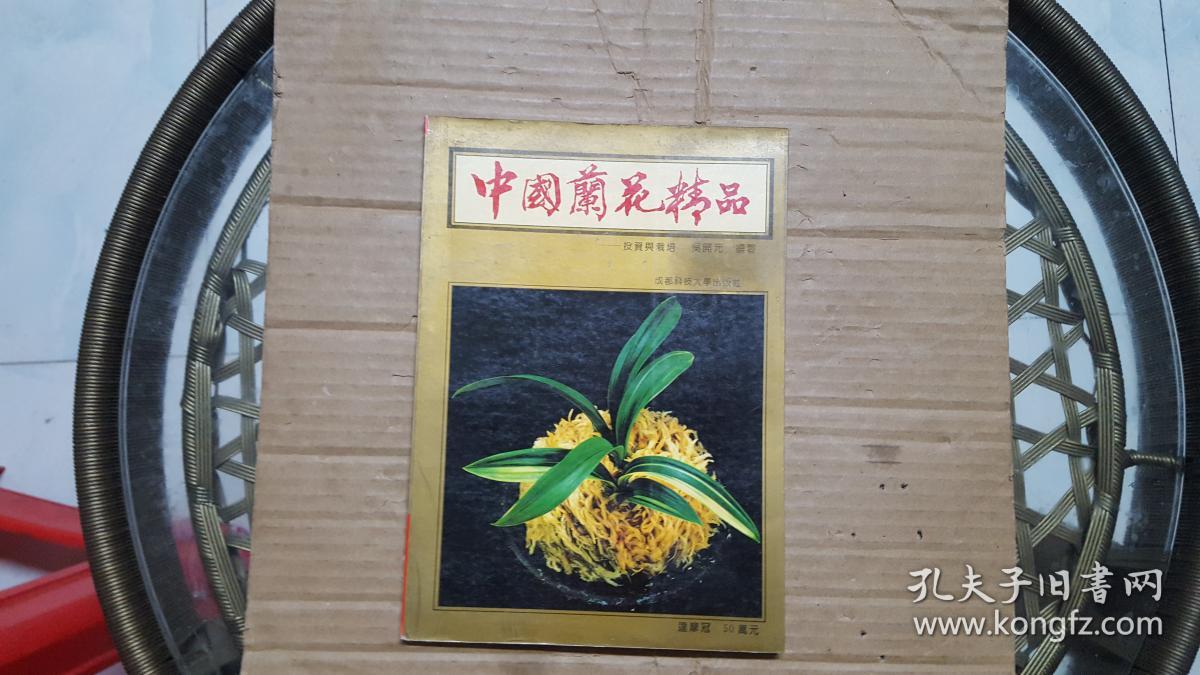 中国兰花精品