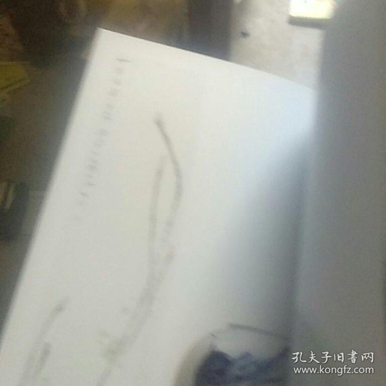 新华书画院，新华百名书画家系列丛书，珠光书画