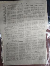 参考消息 1976年1月19日