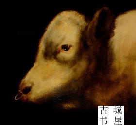 油画艺术《夏洛来奶牛》1980年出版，30x40cm