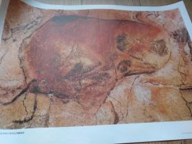 受伤的野牛 （西班牙阿尔塔米拉洞窟壁画）（初中课本“历代 美术作品欣赏”外国部分（一）18（1））