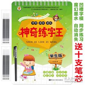 神奇高效速成：神奇练字王