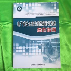 电子商务企业内部控制审计实务操作指南