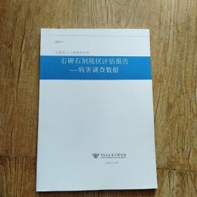 石碑石刻现状评估报告，病害调查数据。