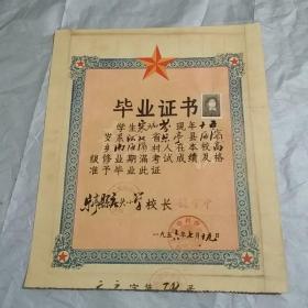 1956年  毕业证书