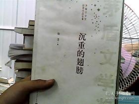 茅盾文学奖获奖作品全集：沉重的翅膀