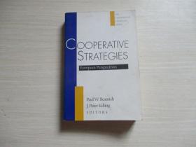 cooperative strategies：european   perspectives【541】合作策略：欧洲视角