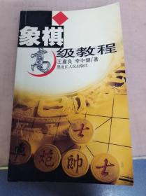 象棋高级教程