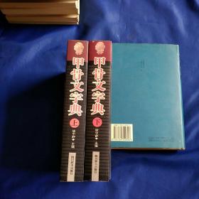 甲骨文字典 上下