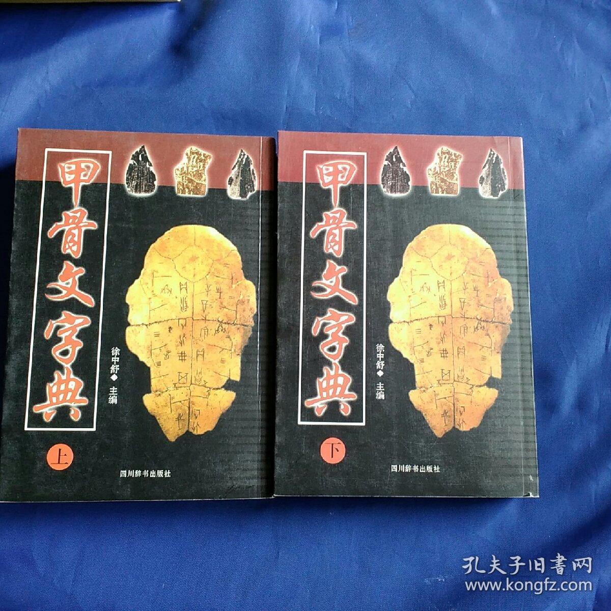 甲骨文字典 上下