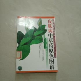 皮肤病中草药原色图谱/疾病中草药原色图谱丛书