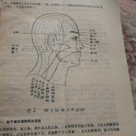 中医眼喉科学