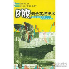 B股淘金实战技术/B股操作小丛书