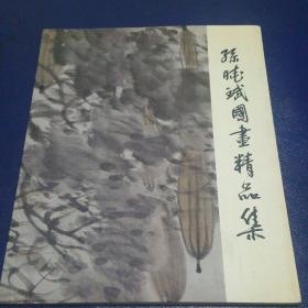 孙晓斌国画精品集 内页干净