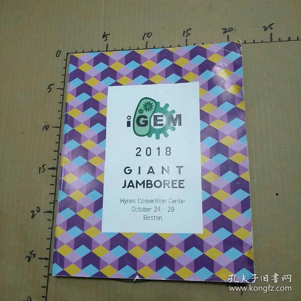 giant jamboree 2018 igem  外文