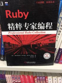 Ruby精粹专家编程