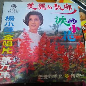 杨小萍美丽的故乡黑胶唱片
