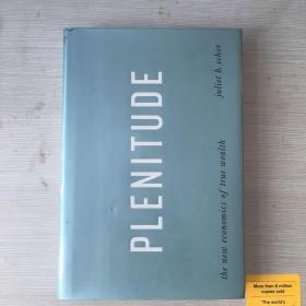 Plenitude: the new economics of true wealth 新经济 英文原版 精装