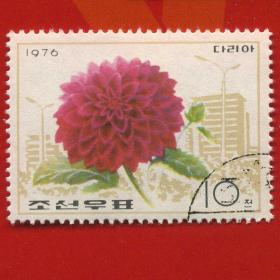 外国盖销邮票 朝鲜 1976年 植物花卉1枚