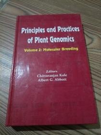 principles dnd prdctices of pldnt genomics（精装）
