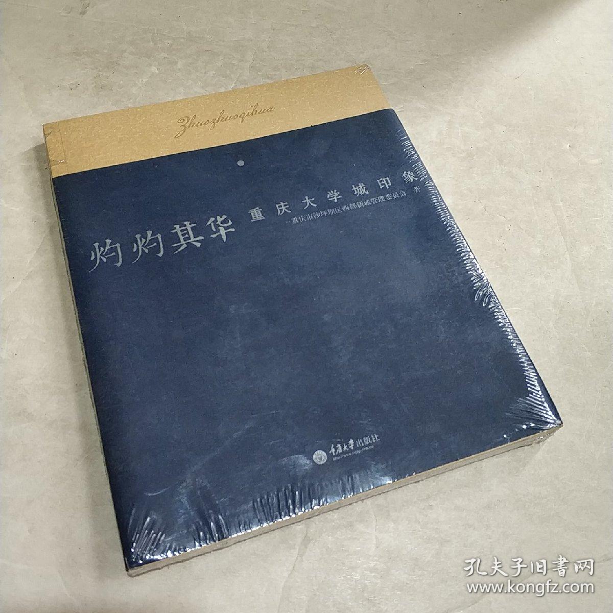 灼灼其华 垂庆大学城印象