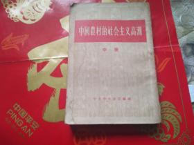 1956年中国农村的社会主义高潮