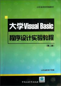 大学Visual Basic程序设计实验教程（第二版）