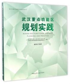 正版 武汉市重点功能区实施规划丛书 武汉重点功能区规划实践