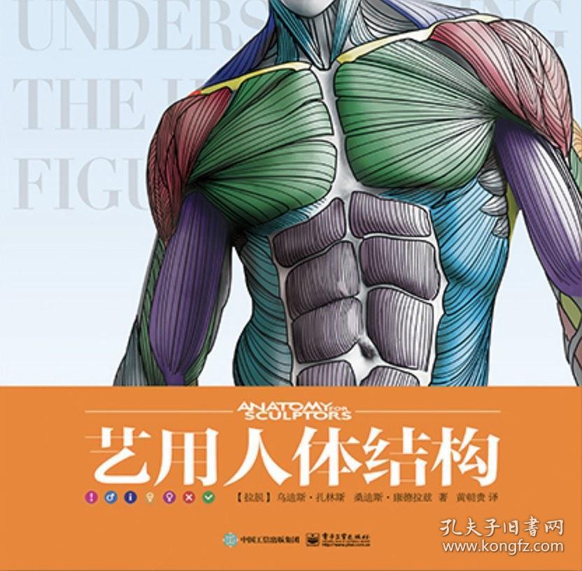艺用人体结构(精装版)(全彩) (拉脱维亚)Uldis Zarins(乌迪斯扎林斯),(拉脱维亚)S 电子工业出版社