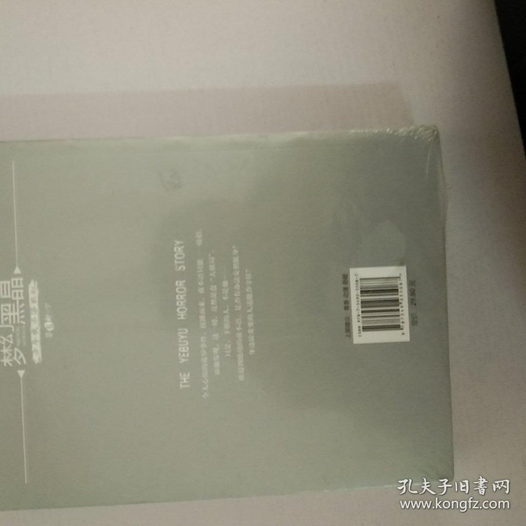 梦幻黑晶（少年夜不语系列 第6部下）