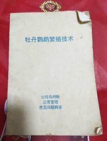 牡丹鹦鹉繁殖技术