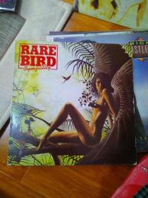 rare bird 黑胶唱片
