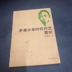 茅盾少年时代作文赏析