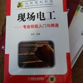 现场电工：专业技能入门与精通