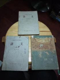 语文（初级中学课本）第四~六册【3册合售】