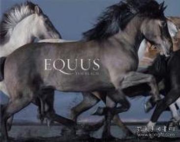 Equus  TIM FLACH