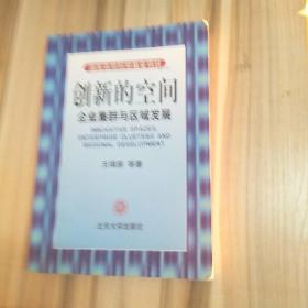 创新的空间：企业集群与区域发展