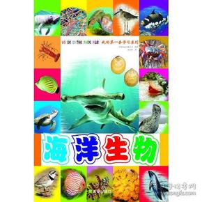 海洋生物