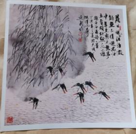 画家尹延新（落日风轻）画照片尺寸20公分×20公分