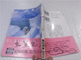 原版日本日文書 氷の上のちつちやな冒險~アザラシのあかちやん~寫真小原玲 文/崛田あけみ 株式會角川書店 2000年12月 64開軟精裝