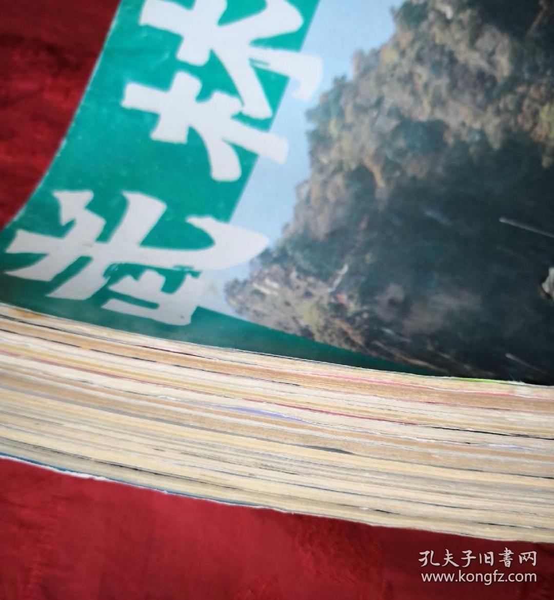 绝版杂志丨<武林＞1992年1一12期 全