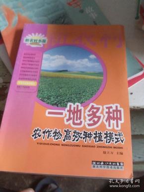 一地多种农作物高效种植模式