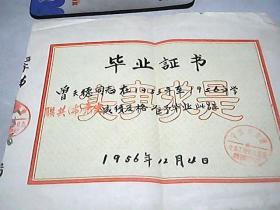 1956年             【  毕业证书】