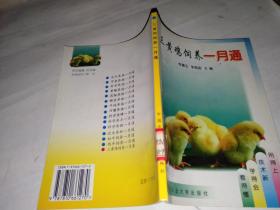 三黃雞飼養(yǎng)一月通.