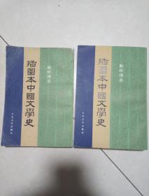 插图本中国文学史(第二 四 2册)